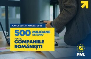 Partidul Național Liberal! 500 milioane de euro pentru companiile românești!