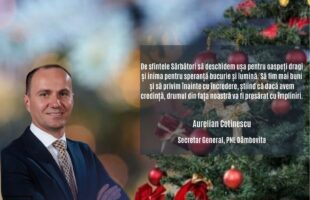 Secretar General PNL Dambovita, Aurelian Cotinescu, vă urează : La mulți ani și sărbători fericite!
