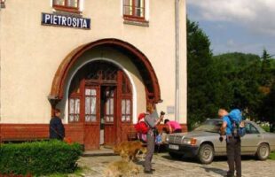 Trenurile Târgoviște – Pietroșița nu au circulat o zi întreagă! Lipsă de personal la TFC!